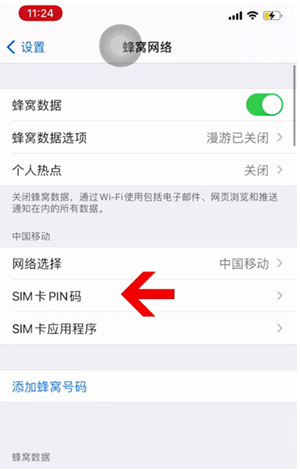 王益苹果14维修网分享如何给iPhone14的SIM卡设置密码 