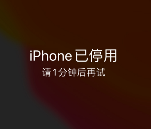 王益苹果手机维修分享:iPhone 显示“不可用”或“已停用”怎么办？还能保留数据吗？ 