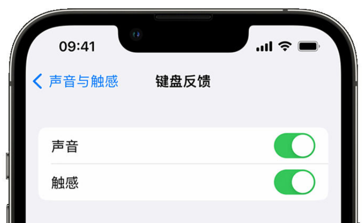 王益苹果手机维修分享iPhone 14触感键盘使用方法 