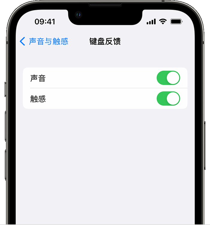 王益苹果14维修店分享如何在 iPhone 14 机型中使用触感键盘 