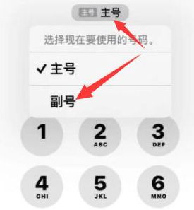 王益苹果14维修店分享iPhone 14 Pro Max使用副卡打电话的方法 