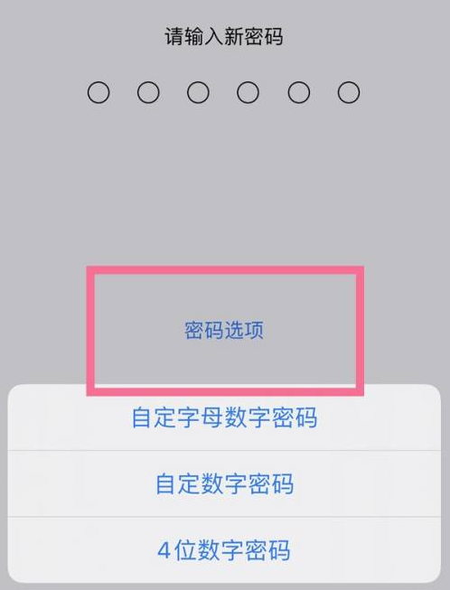 王益苹果14维修分享iPhone 14plus设置密码的方法 