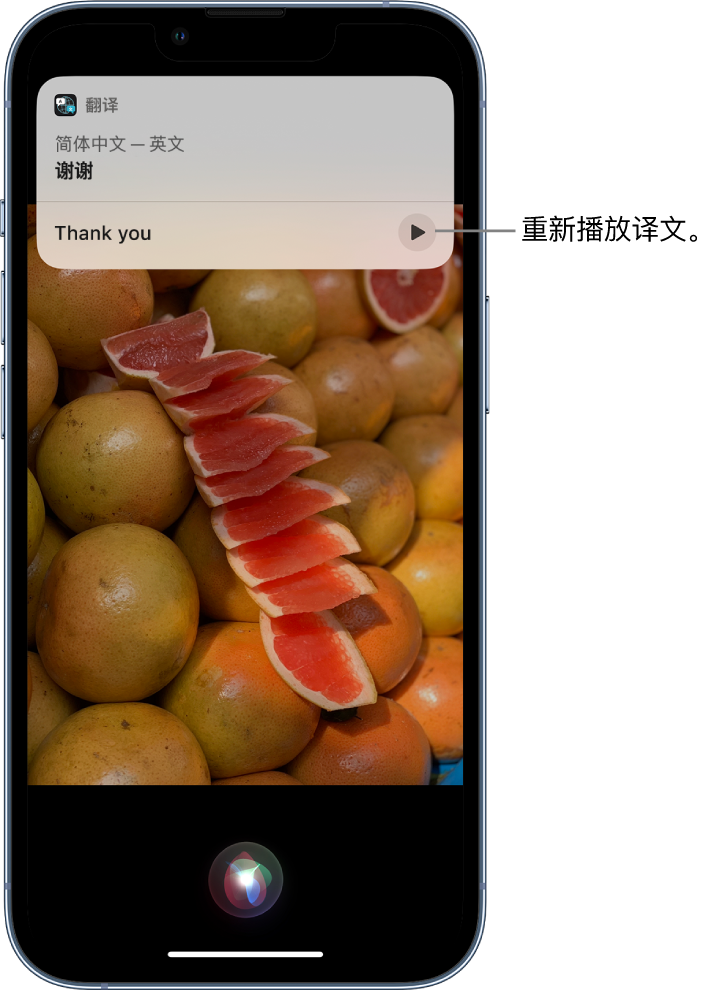 王益苹果14维修分享 iPhone 14 机型中使用 Siri：了解 Siri 能帮你做什么 