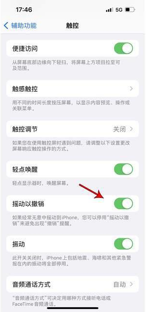王益苹果手机维修分享iPhone手机如何设置摇一摇删除文字 